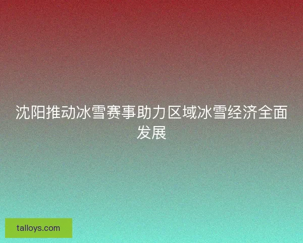 沈阳推动冰雪赛事助力区域冰雪经济全面发展