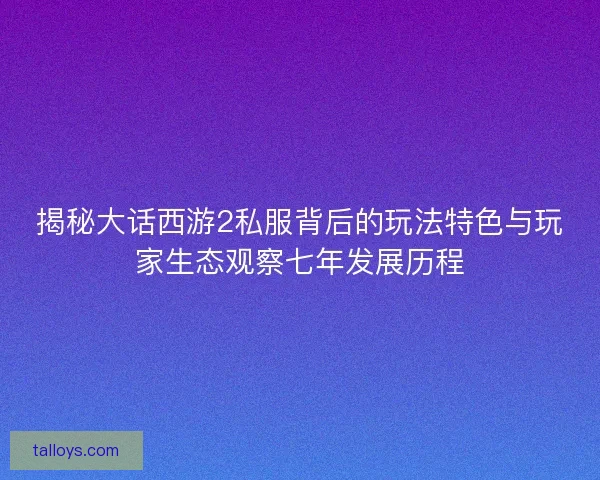 揭秘大话西游2私服背后的玩法特色与玩家生态观察七年发展历程